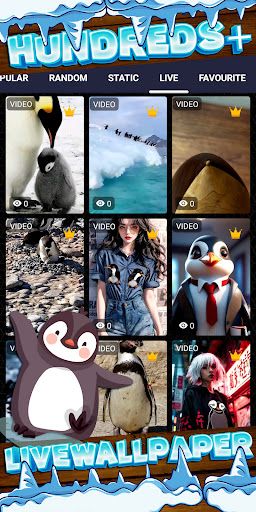 WhatsApp Messenger screenshot 2