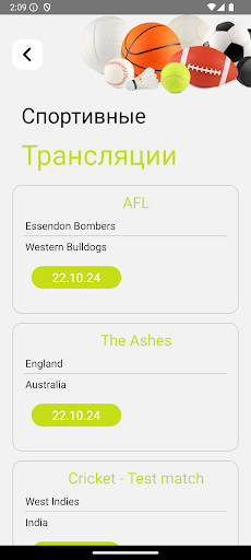 WhatsApp Messenger screenshot 2