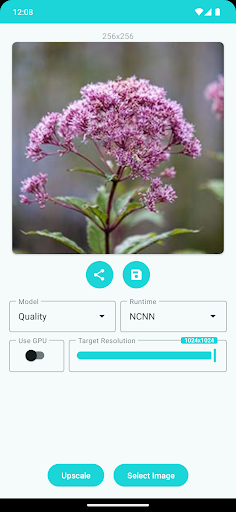 WhatsApp Messenger screenshot 2