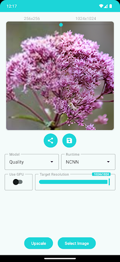 WhatsApp Messenger screenshot 2
