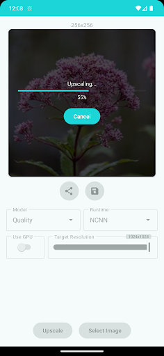 WhatsApp Messenger screenshot 2