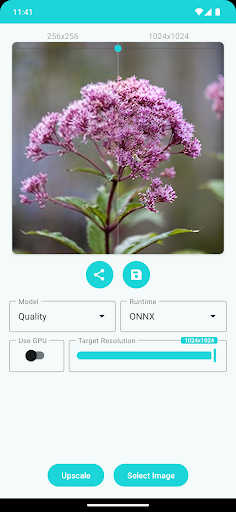 WhatsApp Messenger screenshot 2