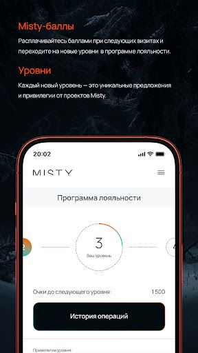 WhatsApp Messenger screenshot 2