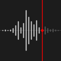 Voice Recorder Pro icon